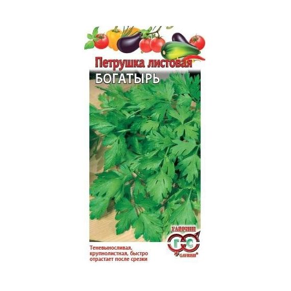 Семена Гавриш ПЕТРУШКА Богатырь  1119-1