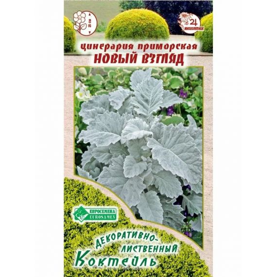 Семена Евросемена Цинерария приморская Новый взгляд 10шт