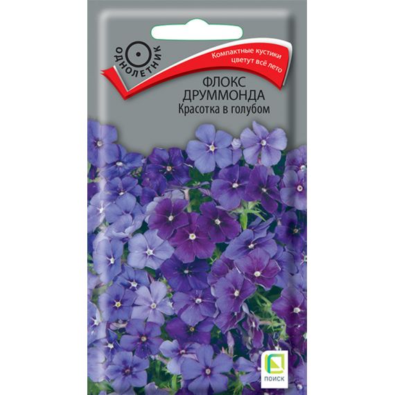 Семена Поиск Флокс друммонда Красотка в голубом 0,1г