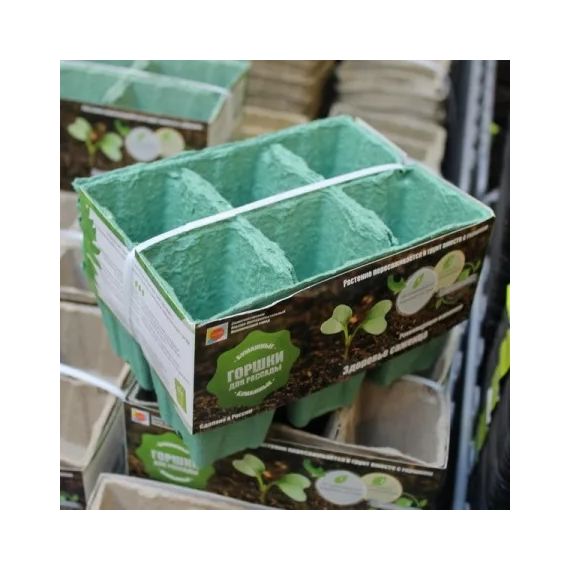 Миникассета для рассады СОЭМЗ 6 ячеек(6х6х6) 5шт