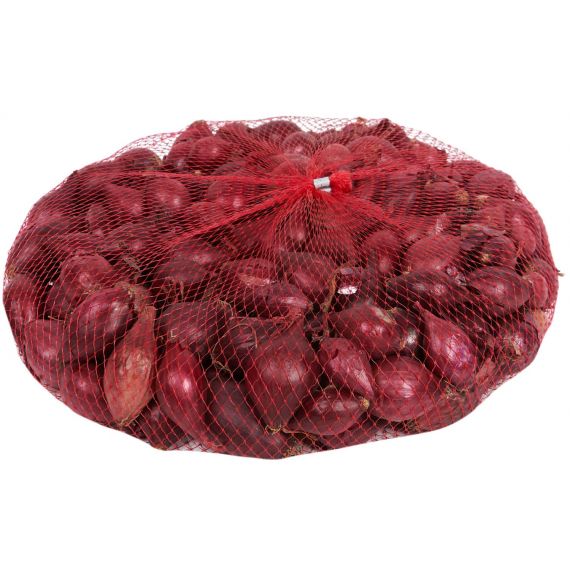 Лук-севок Ред Барон 14-21мм 0,5кг, изображение 2