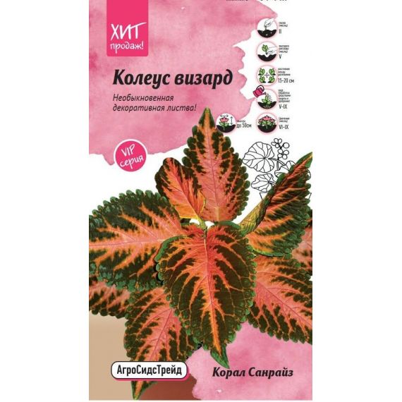 Семена АСТ Колеус Визард Корал Санрайз 10шт