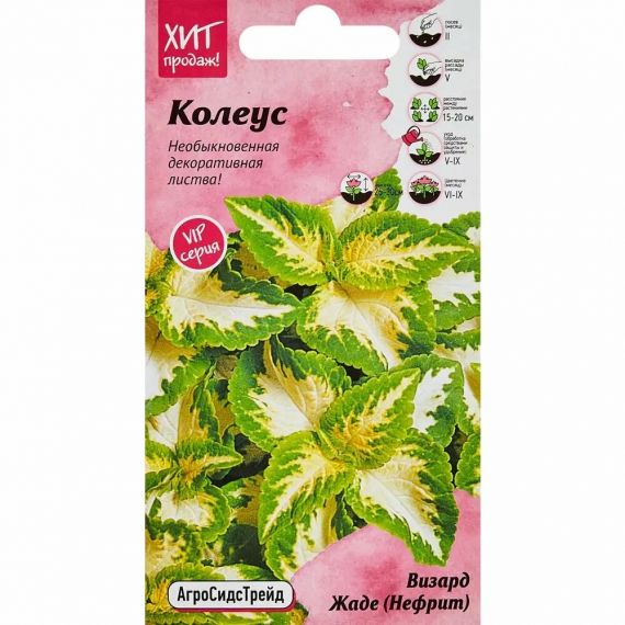 Семена АСТ Колеус Визард Жаде (Нефрит) 10шт