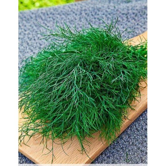 Семена Дом Семян Укроп Аврора 940шт