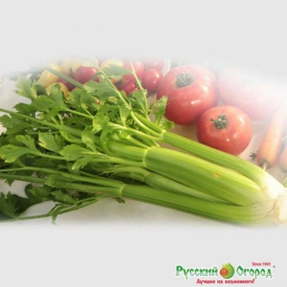 Семена РУССКИЙ ОГОРОД Сельдерей черешковый Сочный 500шт