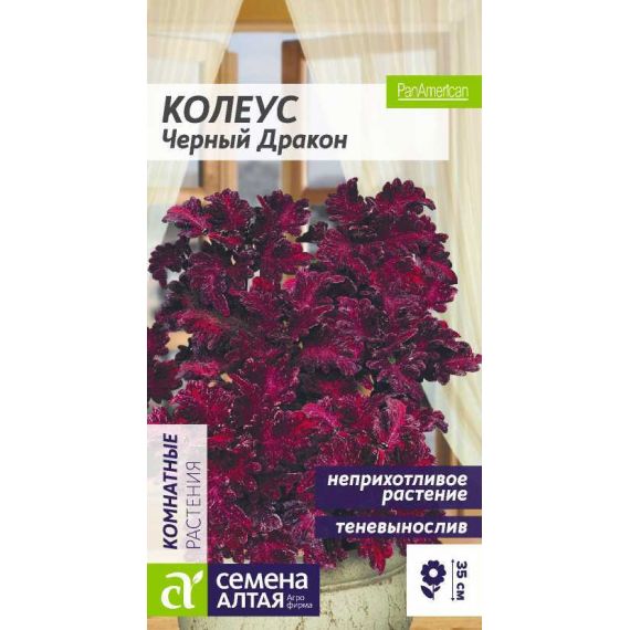Семена Алтая Колеус Черный Дракон 5шт