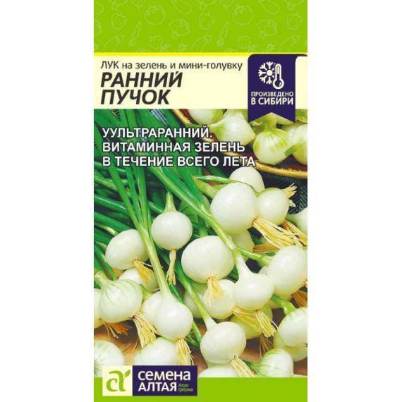 Семена Алтая Лук на зелень и мини-головку Ранний пучок 0,3г