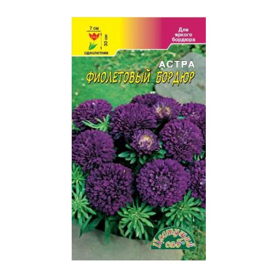 Семена Цветущий Сад Астра Фиолетовый бордюр 0,2г