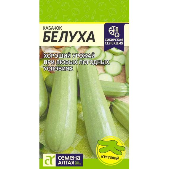 Семена Алтая Кабачок Белуха 2г