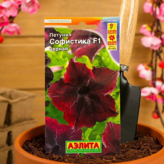 Семена Аэлита Петуния Софистика F1 чёрная 4шт