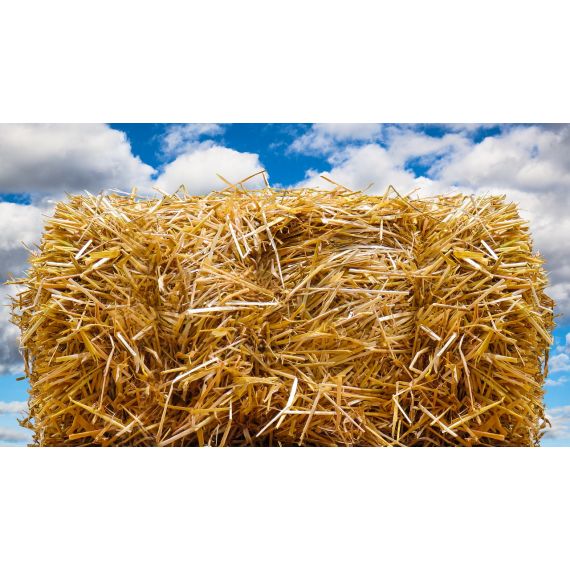 Солома 80*55*40 10кг тюк БИУД