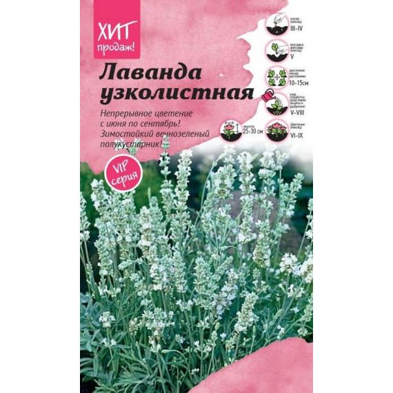 Семена АСТ Лаванда узколистная Элеганс Сноу 6шт