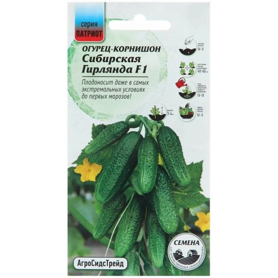 Семена АСТ Огурец Сибирская гирлянда F1 5шт корнишон
