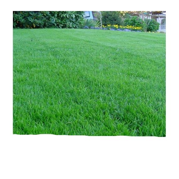 Газон смесь-Универсальная 10кг