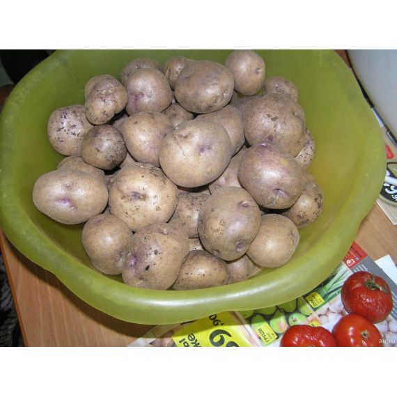 Картофель семенной СИНЕГЛАЗКА 2 кг