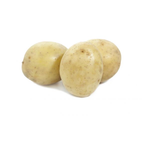 Картофель семенной ГАЛА 2 кг