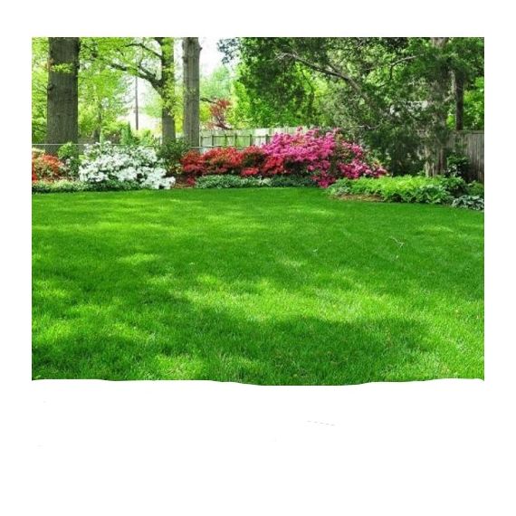 Газон смесь-Теневыносливая 4кг