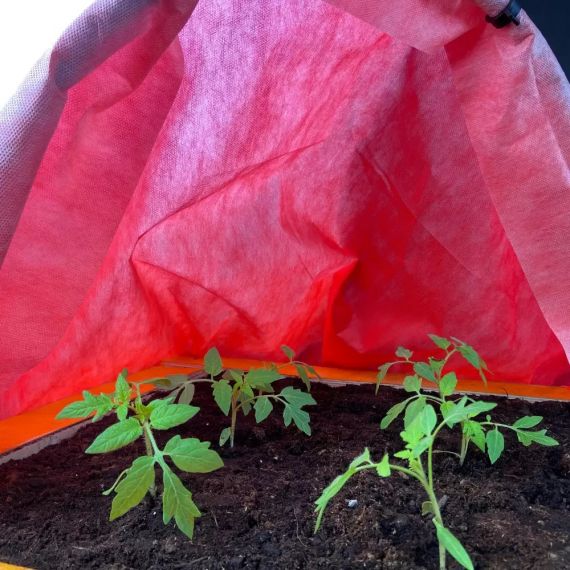 Агротекс Двойная защита красно-белый 60 3м