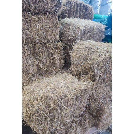 Солома 15кг, изображение 2