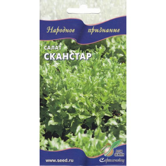 Семена Дом Семян Салат Сканстар 20шт