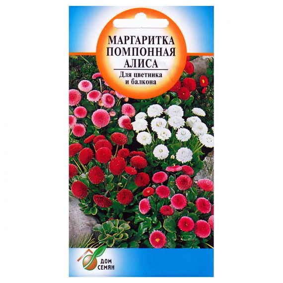 Семена Дом Семян Маргаритка помпонная Алиса 260шт, изображение 2
