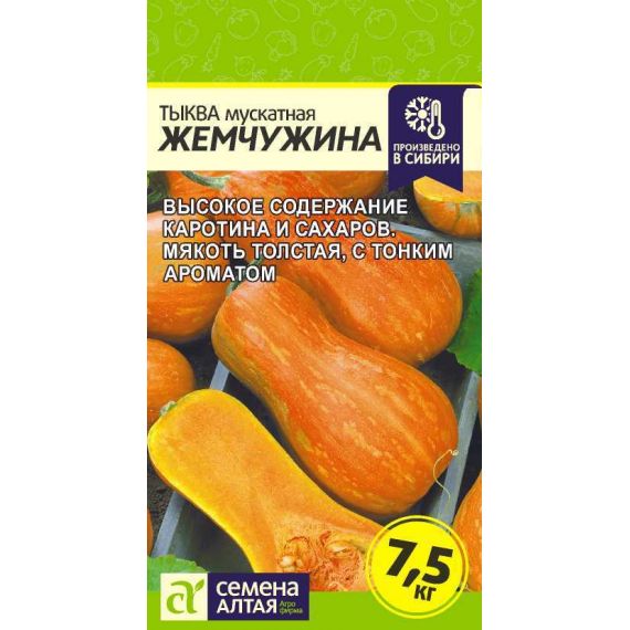 Семена Семена Алтая тыква Жемчужина Мускатная,  1г