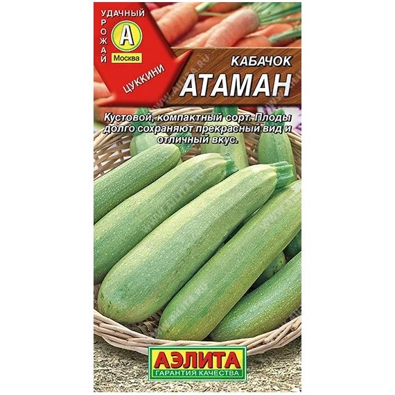 Семена Аэлита Кабачок Атаман 1г