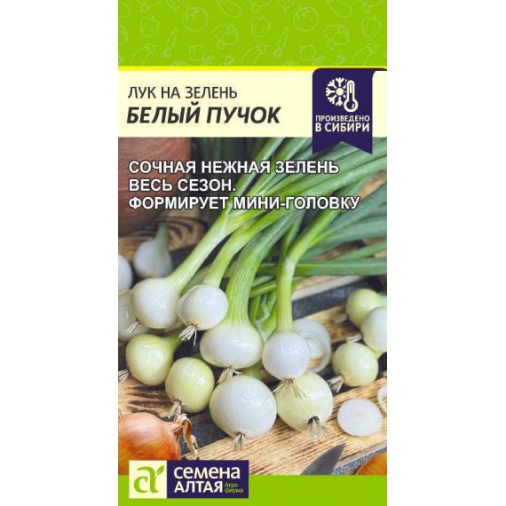 Семена Алтая Лук на зелень Белый пучок 0,3г