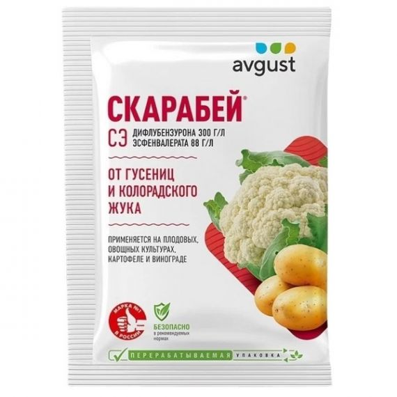 Скарабей 4мл  Август