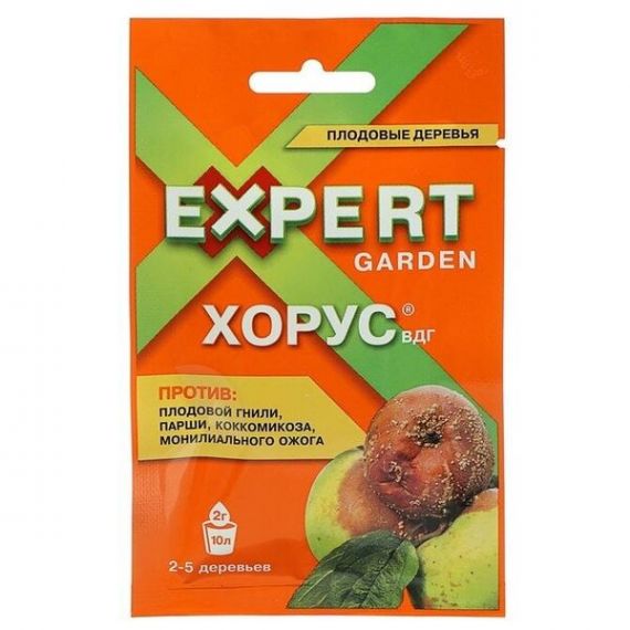 Хорус 2г  300202а/060-1