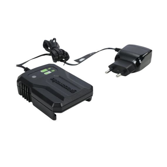 Зарядное устройство Greenworks G40UCM2M 40V 2А  2946507