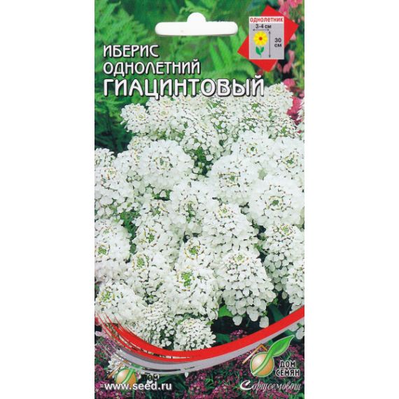 Семена Дом Семян ИБЕРИС Гиацинтовый 30шт