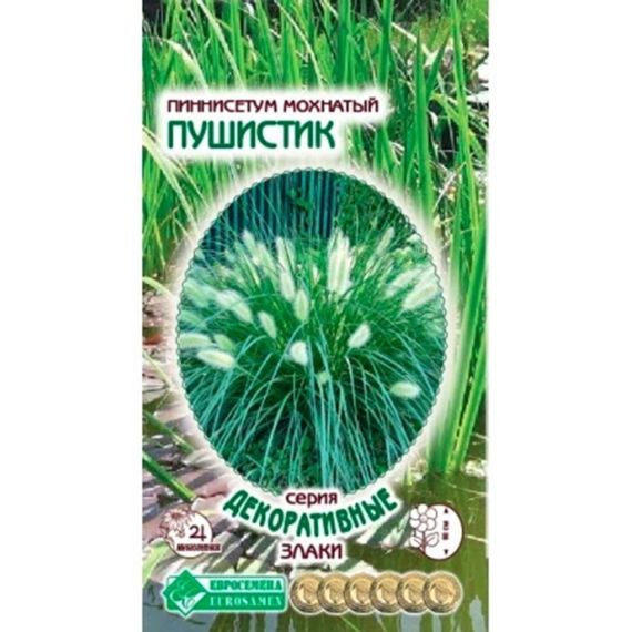 Семена Евросемена Пиннисетум мохнатый Пушистик 5шт